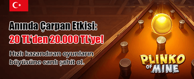 Pin Up Casino ile Şansını Dene
